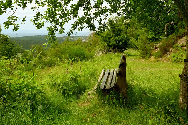 为球队争冠 为球队争冠