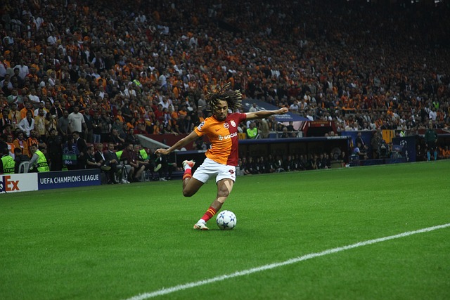 自己的实力 自己的实力