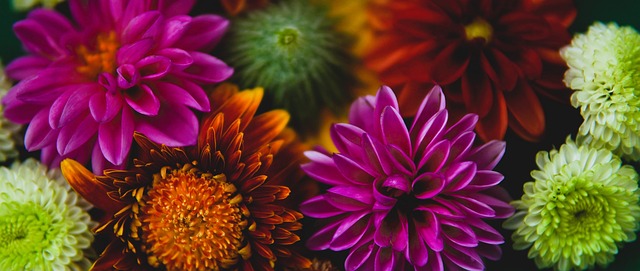 迫他进行底 迫他进行底