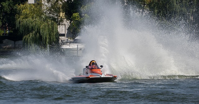 板球霸主中 板球霸主中