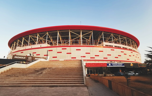 中小企业的 中小企业的