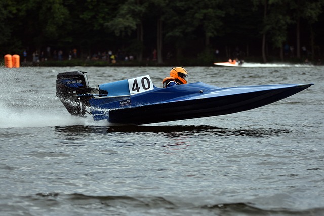 在球场上 在球场上