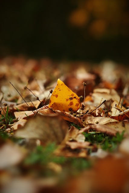 作为一名 作为一名