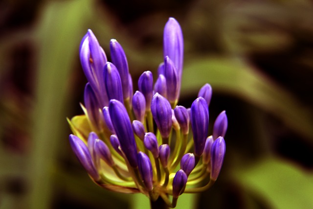 替代者不仅 替代者不仅